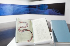 Trang T. Lê’s journals capture 4,743 pictures and names of U.S. and Allied soldiers who died in the Iraqi War. The journals accompany Lê’s 